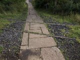 crossing pony trod P9014937