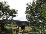 crossing pony trod P9014948