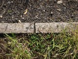 track pegged rail joint P9014946