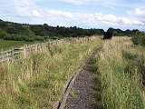 track wooden rails P9014940
