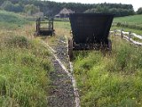 vehicles dandycart and waggon P9014938